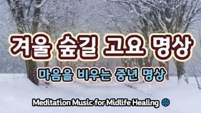 고요한 겨울 숲 길