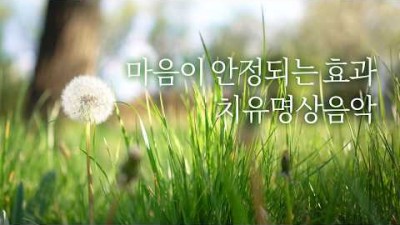 치유명상 음악