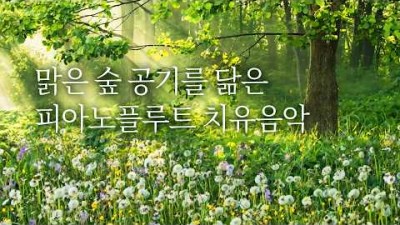 머리가 맑아지고마음이 평온해져요.