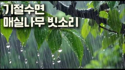 강한 빗소리